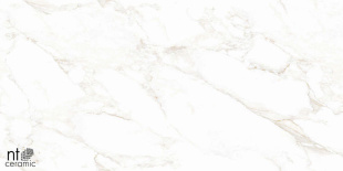 Керамогранит NT Ceramic Marmo Marble Extra Endless Mat арт. NTT99526M (60x120) матовый
